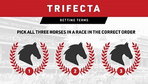 What Is a Trifecta in Horse Racing - ScoresAndStats.com
