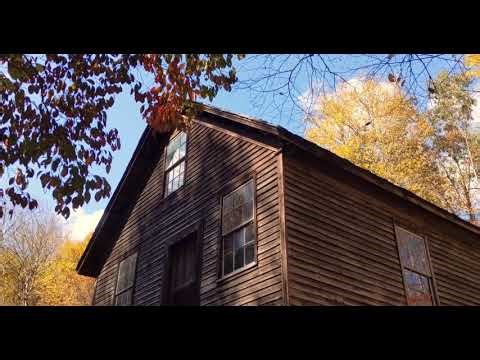 Fall Colors | Smoky Mountain National Park | 2020