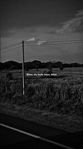 wellerman - nathan evans | lyrics | aesthetic | whatsapp whatsapp | English songs | slowed | sped up