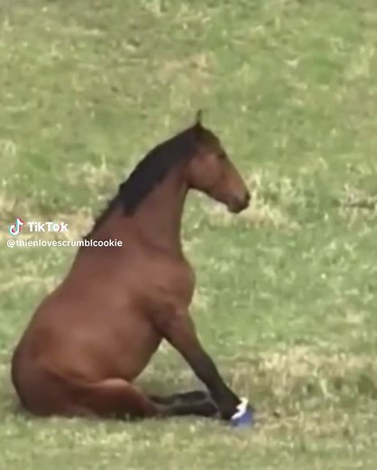 What Do Horses Eat in Minecraft? A Complete Guide