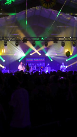 Beans & Buds Late Nite High Sierra🌙 🎷 🎸 🐶 | Magic Beans