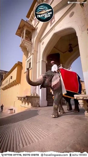 JAIPUR I RAJASTHAN I TRAVELING SEAS I WORLDWIDE