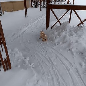 Watch FITS PERFECTLY on Amazon Live