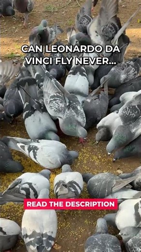 Leonardo Da Vinci Flies Wrong #Shorts