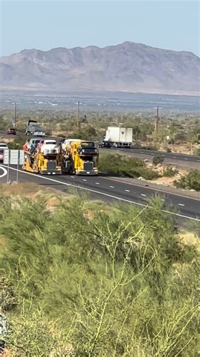 TJ Smith on Instagram: "We DREAMED of making this reel 3 years ago on our way back from Dino’s after having a TERRIBLE drive of our own. Now the Studs at Professional Auto Transport have made our dream a reality! Thank you to the Floyds, JD and Dave, Steve and Brad for being absolute beauties making this happen!! #transport #specializedtransport #classictrucks #slammed #bagged #c10club #chevytrucks #c10trucks #patinatruck #lsswap #chevy3100 #custom #utilitytruck #peterbuilt"