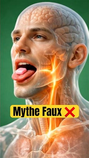 Avaler un Chewing-Gum : Voici Ce Qui Se Passe Vraiment ! 😳