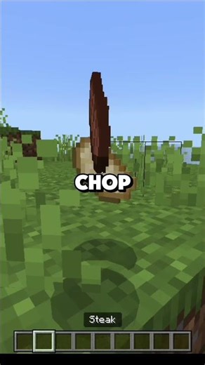 HOW TO SURVIVE THE NETHER