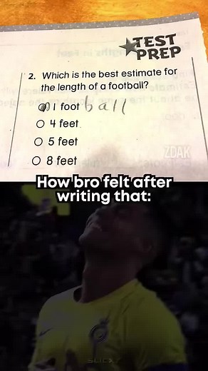 Hilarious Goat Memes and Clips Compilation