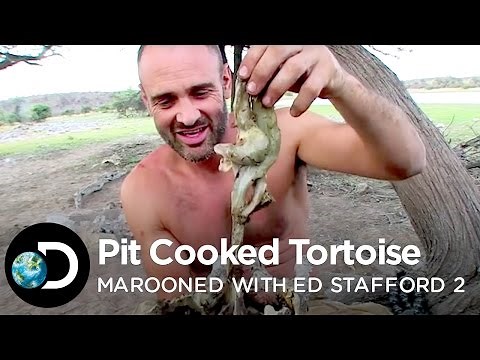 Delicious Pit Cooked Tortoise | Marooned with Ed Stafford S2E3
