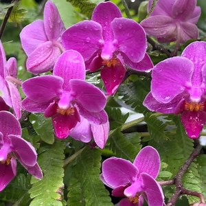 843 reactions · 14 shares | Exciting pops of color will breathe even...