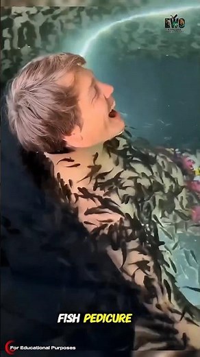 The Fish Pedicure is More Dangerous Than You Think. #documentary#usashorts#fypシ