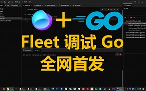 全网首发!Fleet 1.8调试Go程序教程 Fleet下载地址看视频下方描述