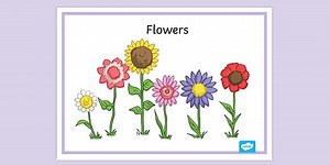 Flower Poster For KS2