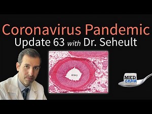 Coronavirus Pandemic Update 63: Is COVID-19 a Disease of the Endothelium (Blood Vessels and Clots)?