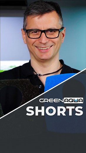 30K views · 215 reactions | Some things to keep in mind when cleaning your EHEIM external filter!邏 #ad #greenaqua #aquascaping #aquascape #plantedtank #plantedaquarium #aquaticplants #amazingnature #inspiration #passion #aquariumplants #aquariumsdaily #interiordesign #aquadesignamano #adahungary #instagood #aquarium #aquariumphotography #aquariumsofinstagram #aquariumlife #aquariums #aquariumhobby #natureaquarium #freshwateraquarium #aquariumfish #aquariumgallery #fyp | Green Aqua | Facebook