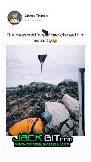 Cringe Things on Instagram: "This short, chaotic video begins with a man in high-visibility work gear and a hard hat standing in a rocky, industrial landscape. He leans down to pick up a large rock and throws it with full force at a “Yield” road sign positioned on a mound of gray earth. The impact is immediate; as the rock hits the sign, a massive swarm of dark insects—appearing to be bees or wasps—explodes from behind the metal plate. The man immediately turns and scrambles into the open door o