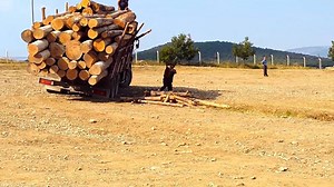 214K views · 492 reactions | Yo yo we got a double slicer with a death wish | Funny Videos | Facebook