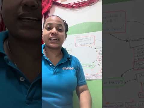 Sistema Educativo Dominicano y sus legislación.