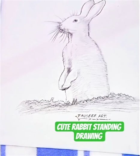 “Amazing Rabbit Drawing on Two Legs! 🐇 Step-by-Step Art Tutorial” #drawingfur #animalsketching