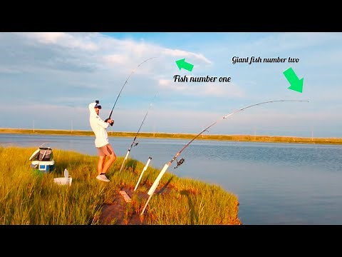 OBX Fishing 101 : How to do? Where to go? What to do? What to use? Expert Tips and Techniques