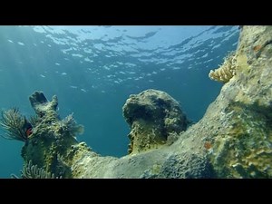 Snorkeling John Pennekamp Coral Reef State Park