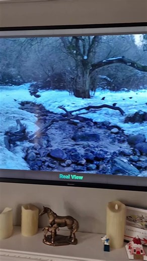 Transform Your TV with Real View: A Virtual Window App