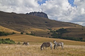 KwaZulu Natal - Alchetron, The Free Social Encyclopedia