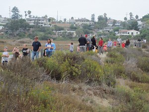 Birding Basics for Adults