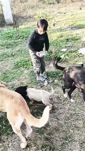 chunu munu jse black same to same dress #viralshorts