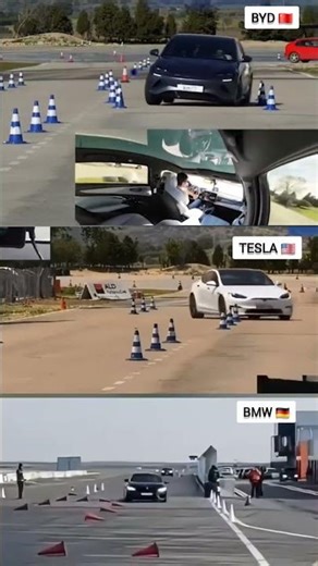 BYD 2025 vs Tesla 2025 vs BMW 2025 | Ultimate Moose Test
