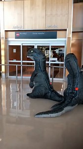 758K views · 33K reactions | Two boys decided to joke their grandmother and receive her at the airport dressed in a dinosaur costume. Grandma knew, so she also decided to give them a surprise 來 | Ghibli Community | Facebook