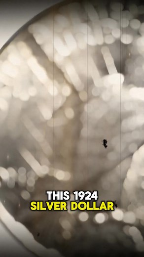 1924 Silver Dollar Strikethrough Error Worth $250 #coin #coincollecting #coins #oldcoins #numismatics #coincollector #numismatic #coincollection #rarecoins #numismatica | Coinvaluechecker
