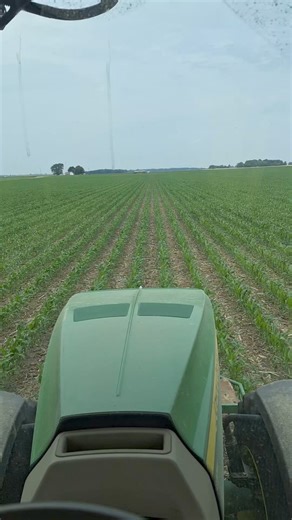 9.5K views · 139 reactions | What am I doing? | The Farmer's Life | Facebook