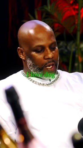 HipHopWood_TV | DMX’s Dog Became the HYPE MAN of a Legendary Battle! Witness a legendary DMX story from Drink Champs! 😱 Nore asks DMX about the iconic... | Instagram