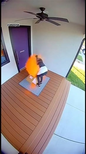 Neighbor Porch Pirate Goes Oopah Loompa!