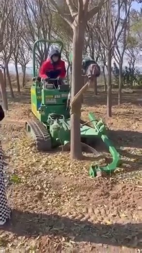 6.3K views · 22 reactions | Wow!...powerful tree limb removal machine | Amazing Video | Facebook