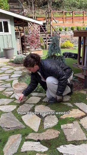 Don’t hate me but there’s no secret sauce to having a weed free garden. Consistent weeding is how you prevent weeds from taking over 🤷🏻‍♀️ My 3 biggest tips are below: - landscape fabric is the scam of the century in flowerbeds, it suffocates your soil and is not good for plants. Plus weeds break through it and grow on top of it long-term, mulch is an excellent alternative and has a ton of additional benefits, one of which is it HELPS to suppress weeds (it’s not a 100% fix, nothing is 100% tho