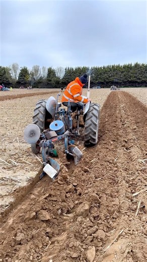 Ploughing with Ferguson FE35 "gold belly" and Ransomes plough