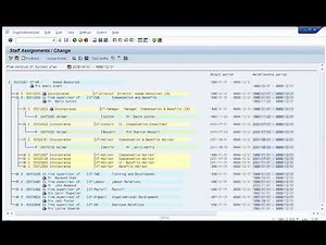 SAP HR Security - Part 15 - Demo 1