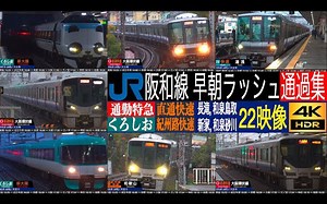 【4K】【日本铁道】平日的早高峰~JR西日本·阪和线·特急·特快·快速·纪州路快速 223系、283系、287系等超多列车高速通过合集 | 4K