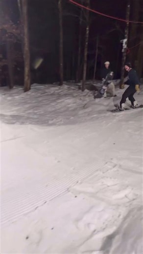 Link in bio or go to shirtmeme.net Follow for more #fyp #foryourpage #trending #dankmemes #darkmemes