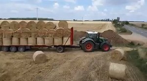 Some load up! Credit: Jose Luis Rodriguez-rabadan Serrano | Grasstec