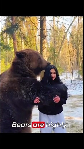 The Bear Hug That Melted Everyone's Heart 🐻❤️