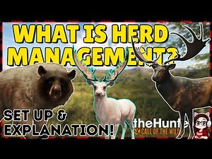 HERD MANAGEMENT EXPLAINED! (For Visual Learners) | theHunter Call of the Wild