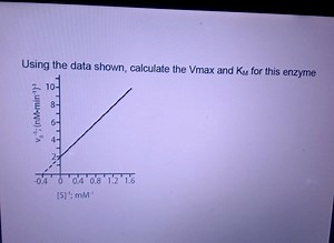 Using the data shown, calculate the Vmax and \mathrm { K } _ { ... | Filo