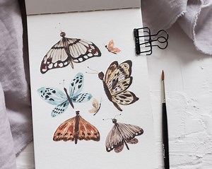 Watercolor Butterflies