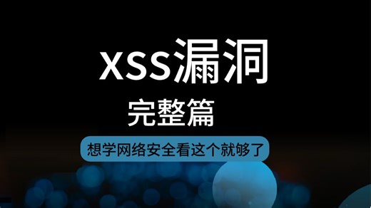【精华版】XSS漏洞教程，小白轻松上手！让你少走99%的弯路！学完变大神！