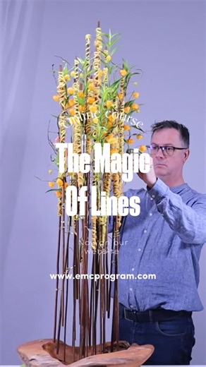 76 reactions | Discover The Magic of Lines, our short online course where every line tells your story. Learn to express, connect, and transform through design. Join now at emcprogram.com | European Master Certification | Facebook