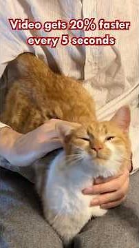 Purring but… it gets 20% faster every 5 seconds