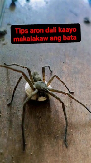 Sa katung naay mga bata nga wapa kalakaw kani ra ang sulotion #highlight | Vergenia Vlog